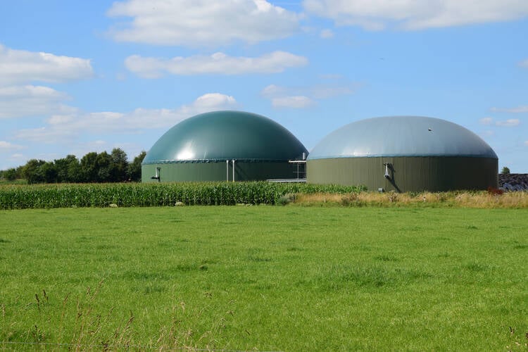 Biogas Production Business