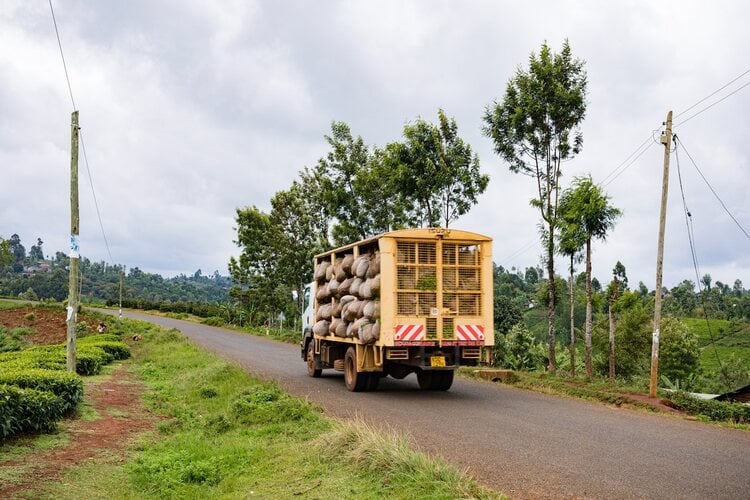 Coffee Distribution Business