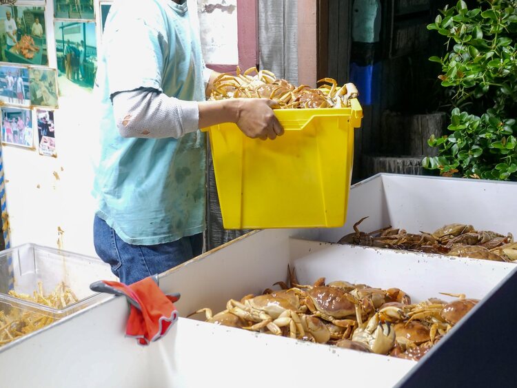 Crab Farming Business