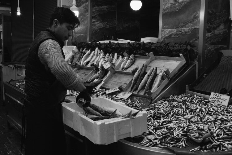 Fresh Seafood Shop Business