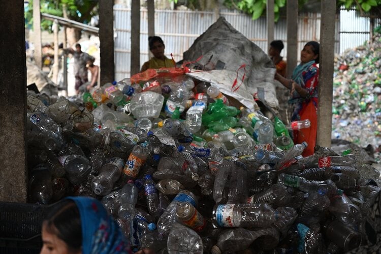 Plastic Bottle Waste Collection Business