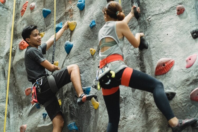 Rock Climbing Gym Business