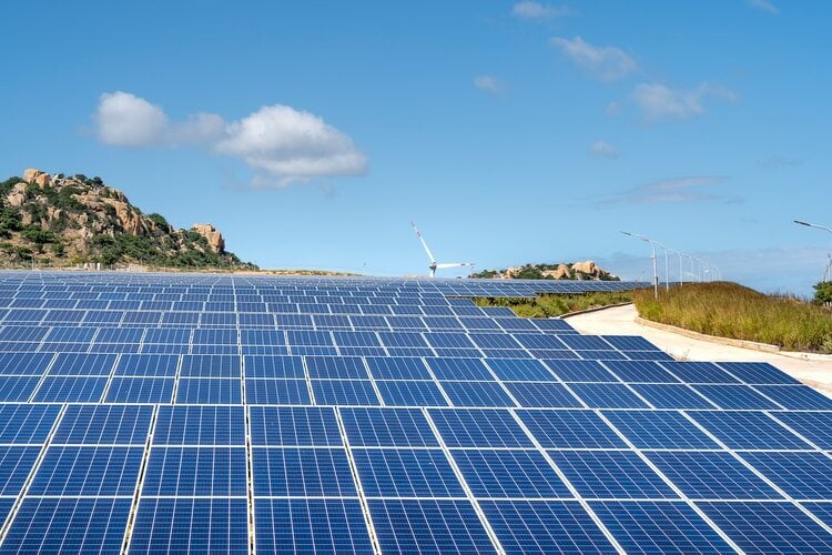 Solar Farm Business