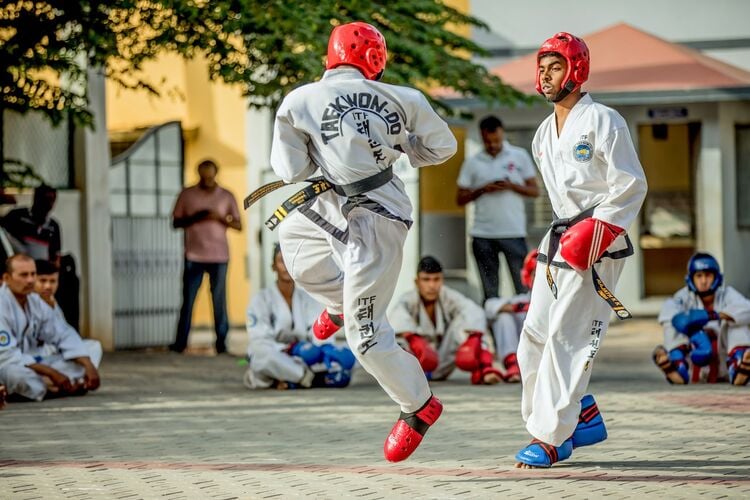 Taekwondo Martial Art School