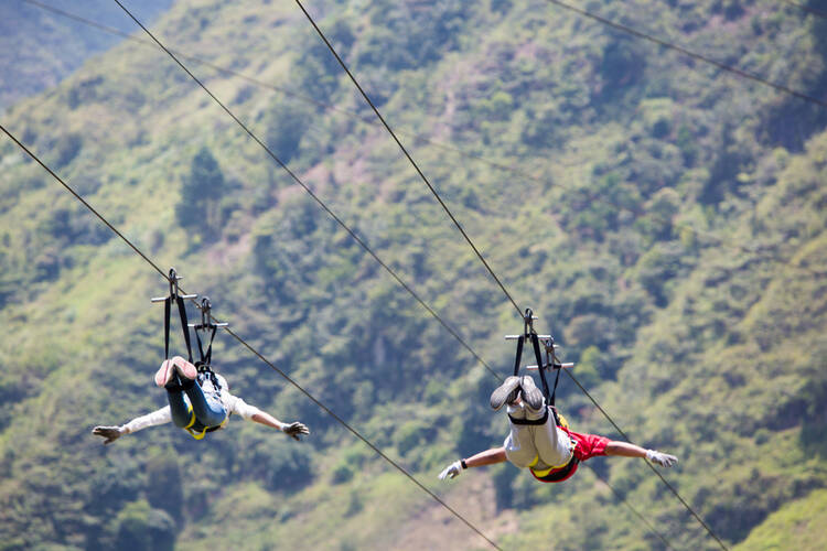 How to Start a Zipline Business