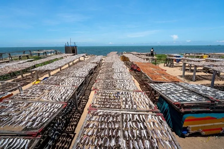 Dry and Roast Fish and Seafood