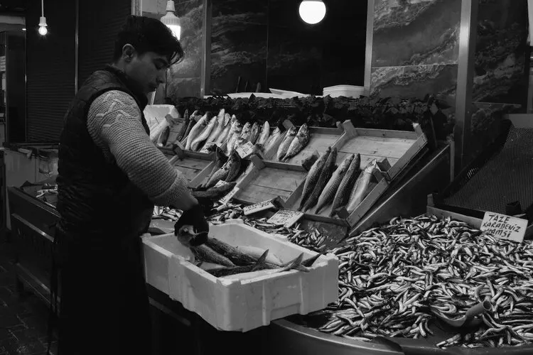 Fresh Seafood Shop Business