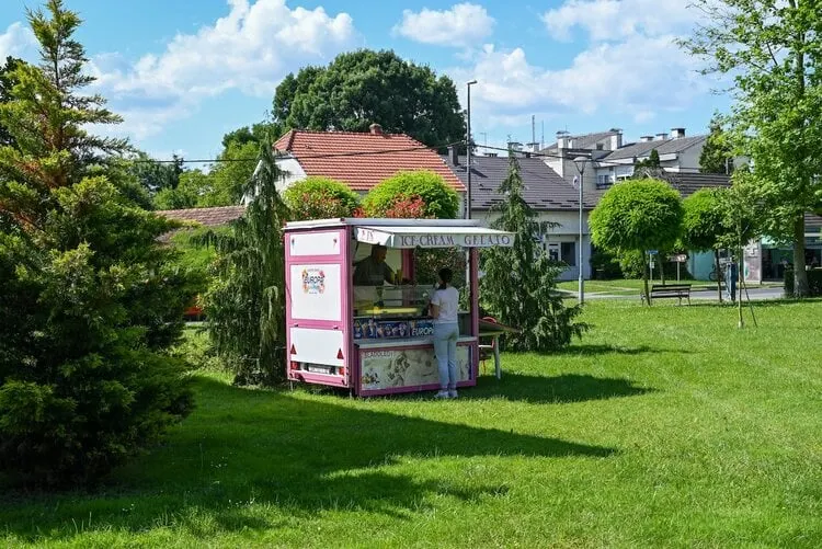 Ice Cream Shop Business